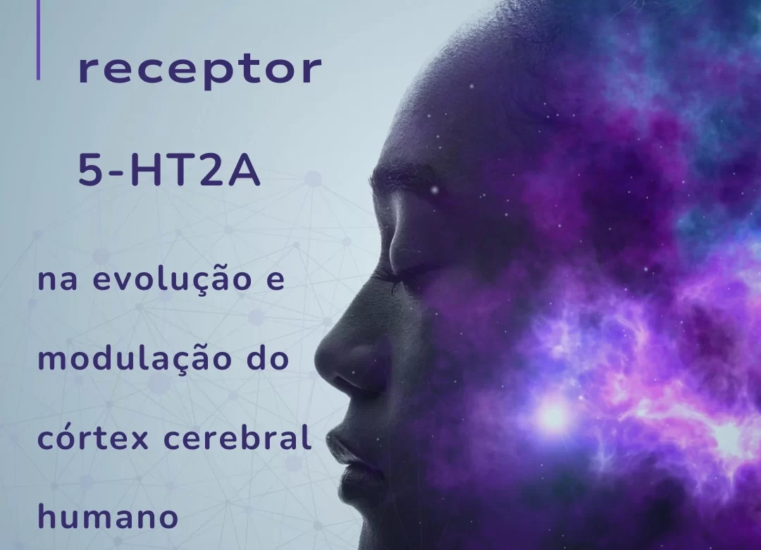 A Influência do Receptor 5-HT2A na Formação do Córtex Cerebral